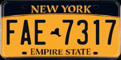 NY license plate FAE7317
