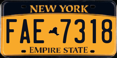 NY license plate FAE7318