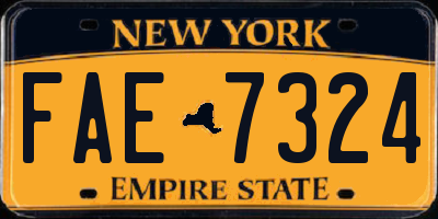 NY license plate FAE7324