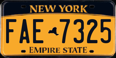 NY license plate FAE7325