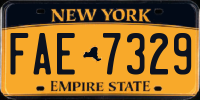 NY license plate FAE7329