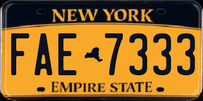 NY license plate FAE7333