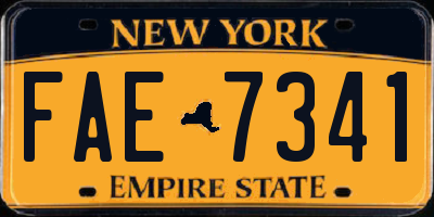 NY license plate FAE7341