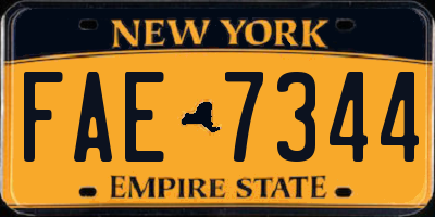 NY license plate FAE7344