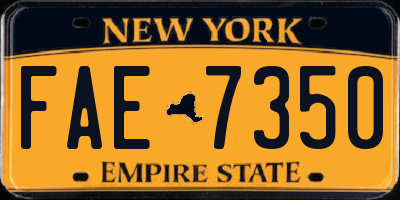 NY license plate FAE7350