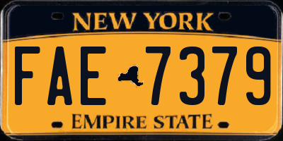NY license plate FAE7379