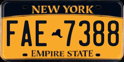 NY license plate FAE7388