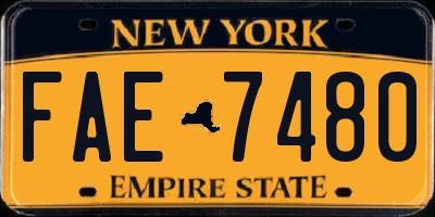 NY license plate FAE7480