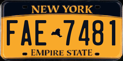 NY license plate FAE7481