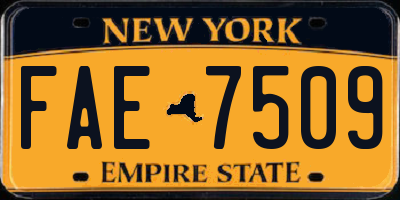 NY license plate FAE7509