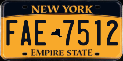 NY license plate FAE7512