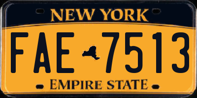 NY license plate FAE7513