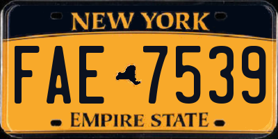 NY license plate FAE7539