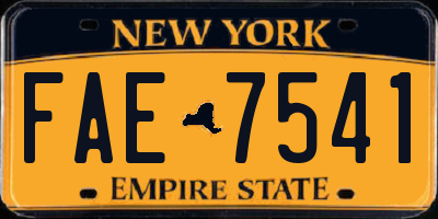 NY license plate FAE7541