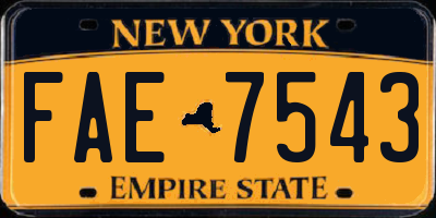 NY license plate FAE7543