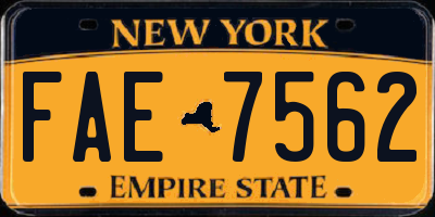 NY license plate FAE7562