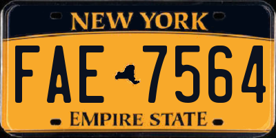 NY license plate FAE7564