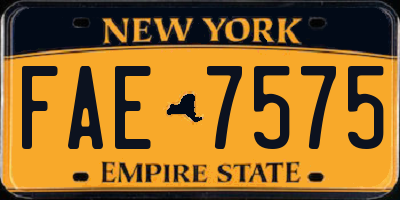 NY license plate FAE7575