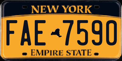 NY license plate FAE7590