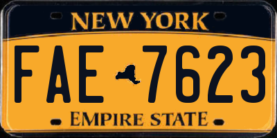 NY license plate FAE7623