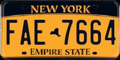 NY license plate FAE7664
