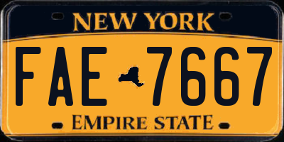 NY license plate FAE7667