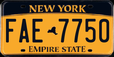 NY license plate FAE7750
