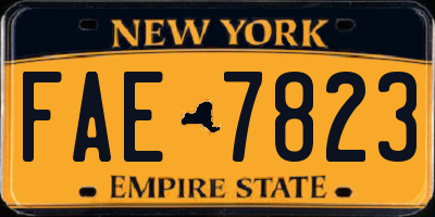 NY license plate FAE7823