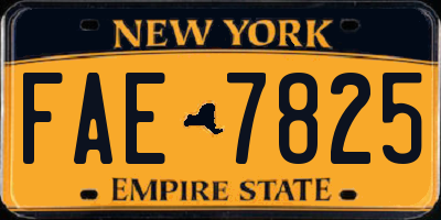 NY license plate FAE7825