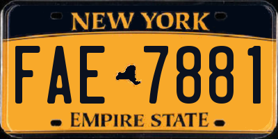 NY license plate FAE7881