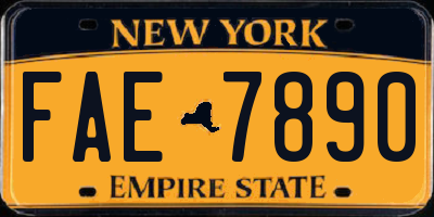 NY license plate FAE7890