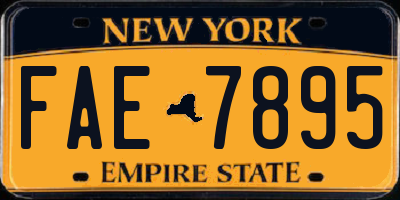 NY license plate FAE7895