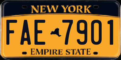 NY license plate FAE7901