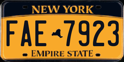 NY license plate FAE7923