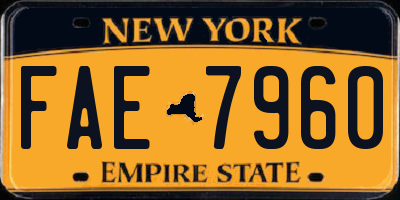 NY license plate FAE7960