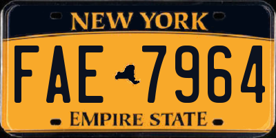 NY license plate FAE7964