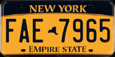 NY license plate FAE7965