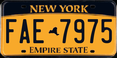 NY license plate FAE7975