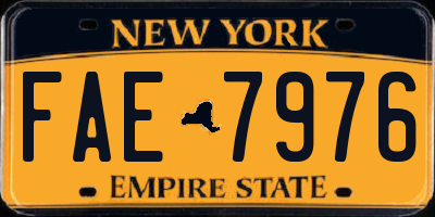 NY license plate FAE7976