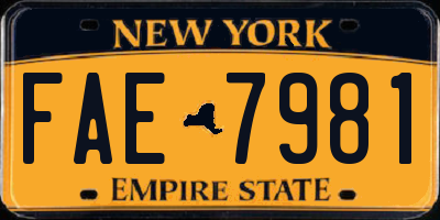 NY license plate FAE7981