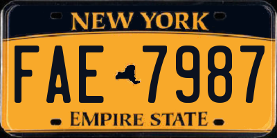 NY license plate FAE7987