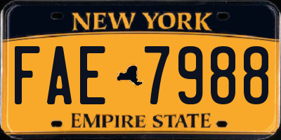 NY license plate FAE7988