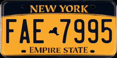 NY license plate FAE7995