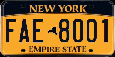 NY license plate FAE8001