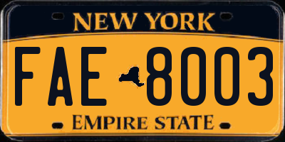 NY license plate FAE8003