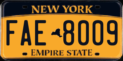 NY license plate FAE8009