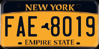 NY license plate FAE8019