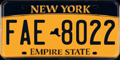 NY license plate FAE8022