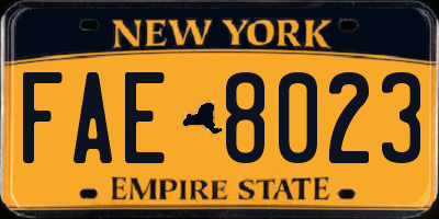 NY license plate FAE8023