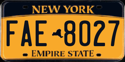 NY license plate FAE8027